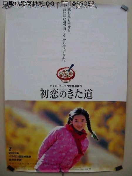 高等经济商业学院经济学文凭证书